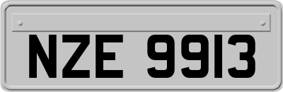 NZE9913