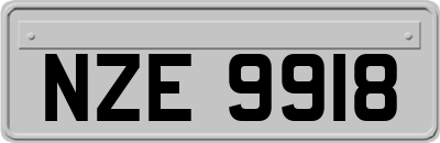 NZE9918