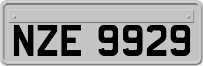 NZE9929