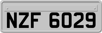 NZF6029