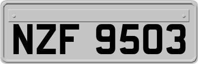 NZF9503