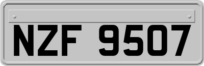 NZF9507