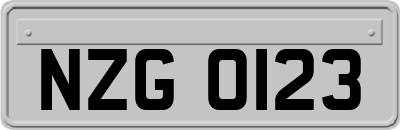 NZG0123