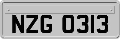 NZG0313