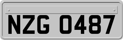 NZG0487