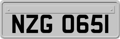 NZG0651