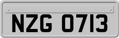 NZG0713