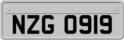 NZG0919