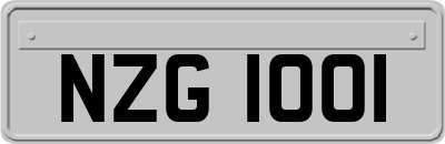 NZG1001
