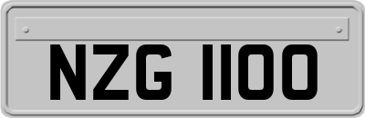 NZG1100