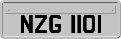 NZG1101