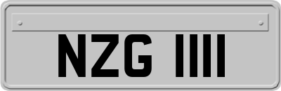 NZG1111