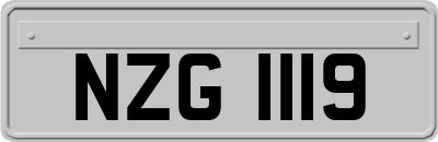NZG1119