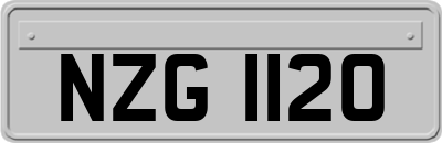 NZG1120