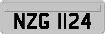 NZG1124