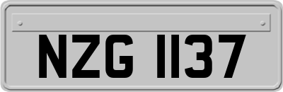 NZG1137