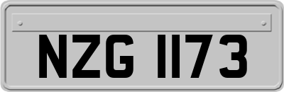 NZG1173
