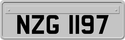 NZG1197