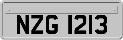 NZG1213