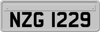 NZG1229