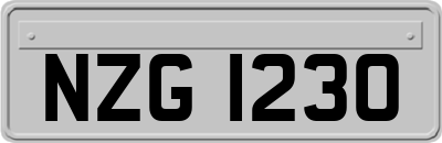 NZG1230