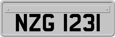 NZG1231