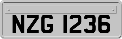 NZG1236