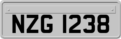 NZG1238