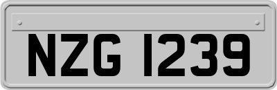 NZG1239