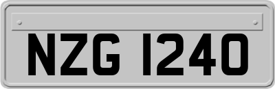 NZG1240