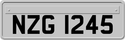 NZG1245