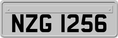 NZG1256