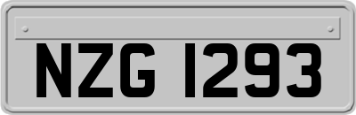 NZG1293