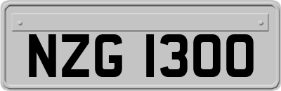 NZG1300