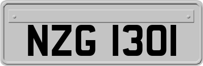 NZG1301