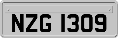 NZG1309