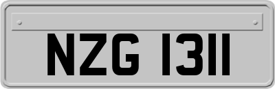 NZG1311