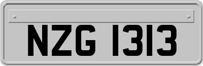 NZG1313