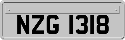 NZG1318