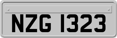 NZG1323