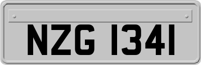 NZG1341