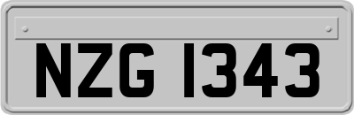 NZG1343
