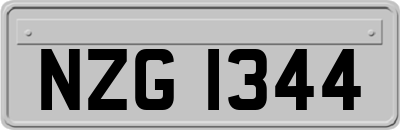 NZG1344