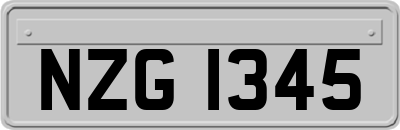 NZG1345