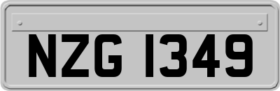 NZG1349