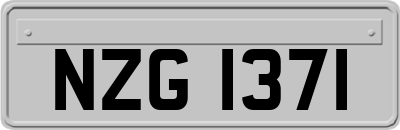 NZG1371