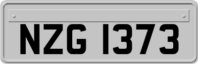 NZG1373