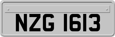 NZG1613