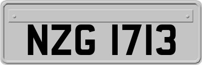 NZG1713