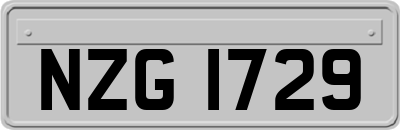 NZG1729
